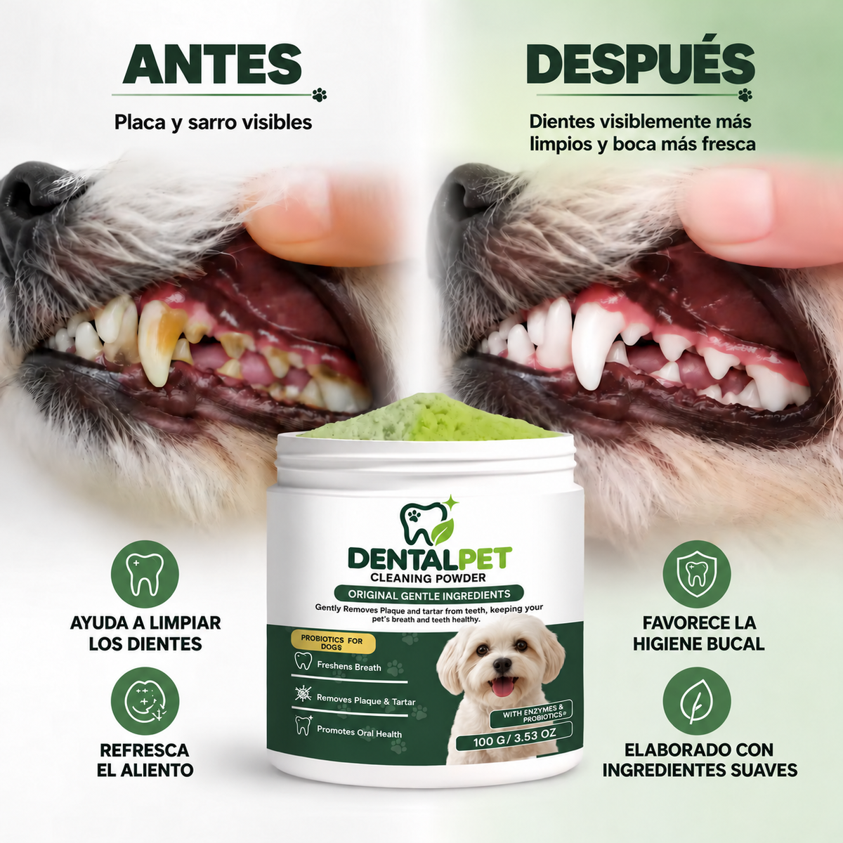 DentalPet